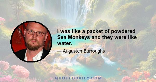 I was like a packet of powdered Sea Monkeys and they were like water.