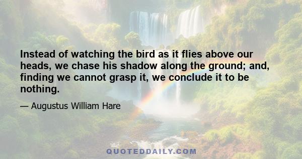 Instead of watching the bird as it flies above our heads, we chase his shadow along the ground; and, finding we cannot grasp it, we conclude it to be nothing.