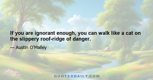 If you are ignorant enough, you can walk like a cat on the slippery roof-ridge of danger.