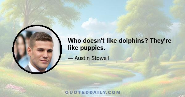 Who doesn't like dolphins? They're like puppies.