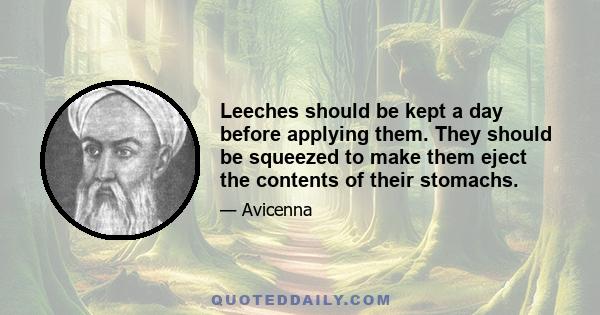 Leeches should be kept a day before applying them. They should be squeezed to make them eject the contents of their stomachs.