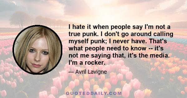 I hate it when people say I'm not a true punk. I don't go around calling myself punk; I never have. That's what people need to know -- it's not me saying that, it's the media. I'm a rocker.