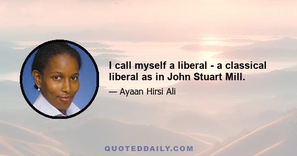 I call myself a liberal - a classical liberal as in John Stuart Mill.