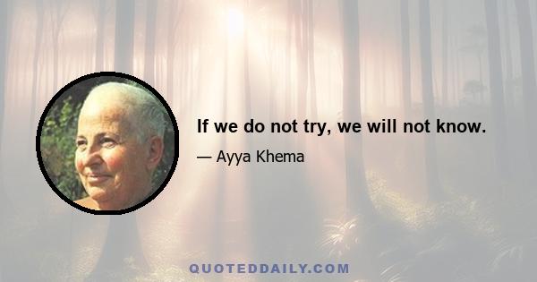 If we do not try, we will not know.