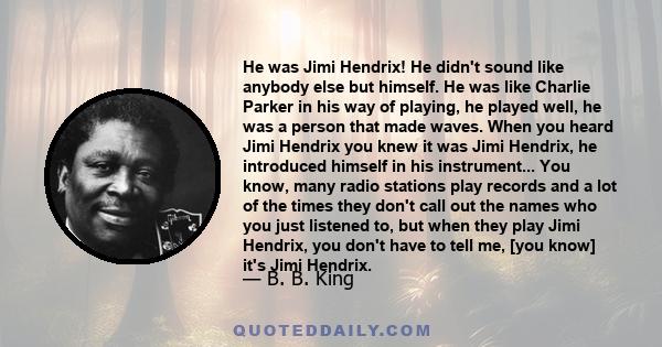 He was Jimi Hendrix! He didn't sound like anybody else but himself. He was like Charlie Parker in his way of playing, he played well, he was a person that made waves. When you heard Jimi Hendrix you knew it was Jimi