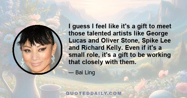 I guess I feel like it's a gift to meet those talented artists like George Lucas and Oliver Stone, Spike Lee and Richard Kelly. Even if it's a small role, it's a gift to be working that closely with them.