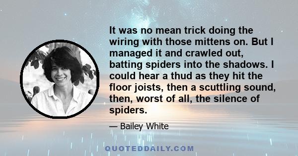 It was no mean trick doing the wiring with those mittens on. But I managed it and crawled out, batting spiders into the shadows. I could hear a thud as they hit the floor joists, then a scuttling sound, then, worst of