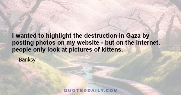 I wanted to highlight the destruction in Gaza by posting photos on my website - but on the internet, people only look at pictures of kittens.