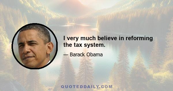 I very much believe in reforming the tax system.