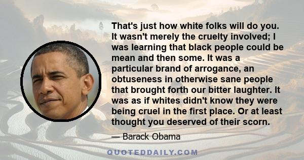 That's just how white folks will do you. It wasn't merely the cruelty involved; I was learning that black people could be mean and then some. It was a particular brand of arrogance, an obtuseness in otherwise sane