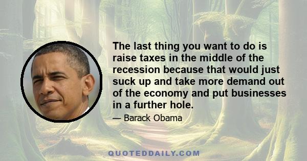 The last thing you want to do is raise taxes in the middle of the recession because that would just suck up and take more demand out of the economy and put businesses in a further hole.