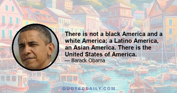 There is not a black America and a white America; a Latino America, an Asian America. There is the United States of America.