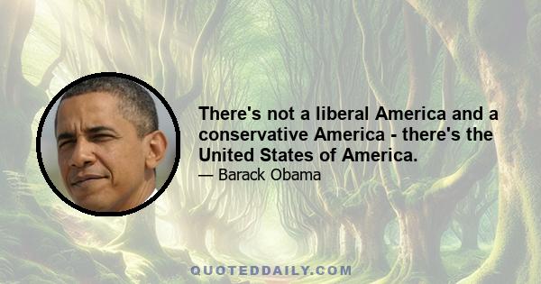 There's not a liberal America and a conservative America - there's the United States of America.