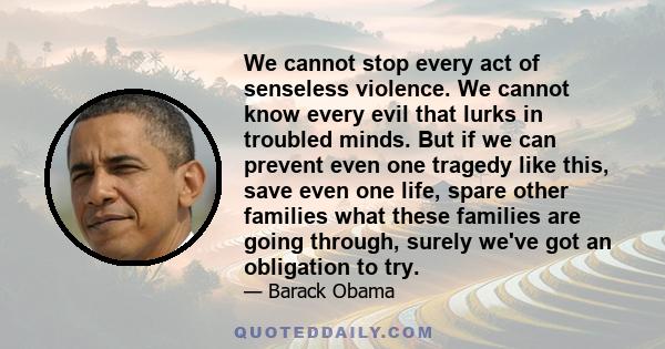 We cannot stop every act of senseless violence. We cannot know every evil that lurks in troubled minds. But if we can prevent even one tragedy like this, save even one life, spare other families what these families are