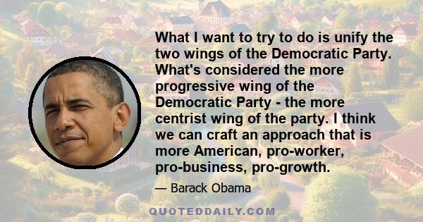 What I want to try to do is unify the two wings of the Democratic Party. What's considered the more progressive wing of the Democratic Party - the more centrist wing of the party. I think we can craft an approach that