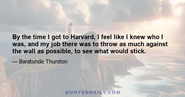 By the time I got to Harvard, I feel like I knew who I was, and my job there was to throw as much against the wall as possible, to see what would stick.