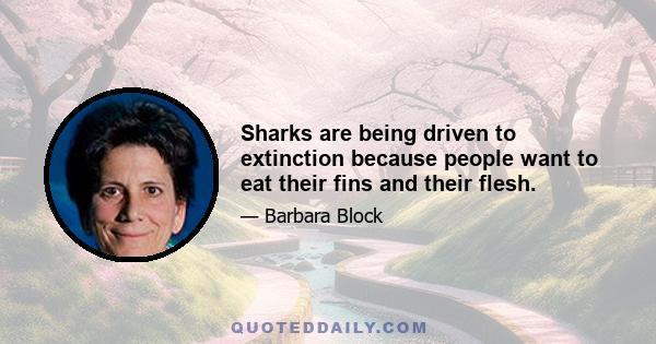 Sharks are being driven to extinction because people want to eat their fins and their flesh.