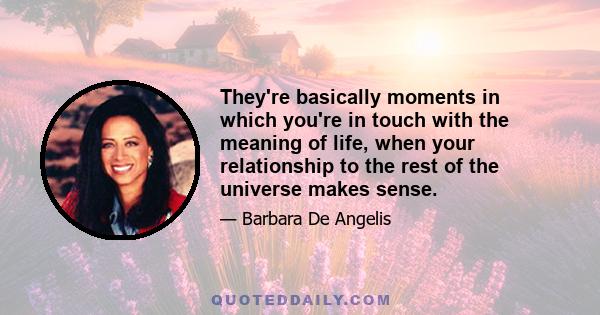 They're basically moments in which you're in touch with the meaning of life, when your relationship to the rest of the universe makes sense.