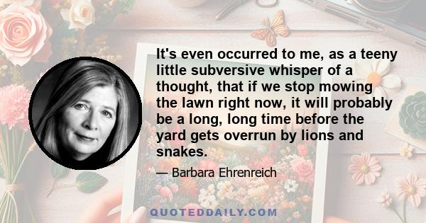 It's even occurred to me, as a teeny little subversive whisper of a thought, that if we stop mowing the lawn right now, it will probably be a long, long time before the yard gets overrun by lions and snakes.