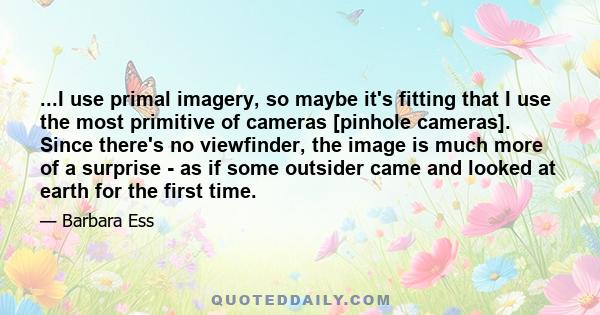 ...I use primal imagery, so maybe it's fitting that I use the most primitive of cameras [pinhole cameras]. Since there's no viewfinder, the image is much more of a surprise - as if some outsider came and looked at earth 