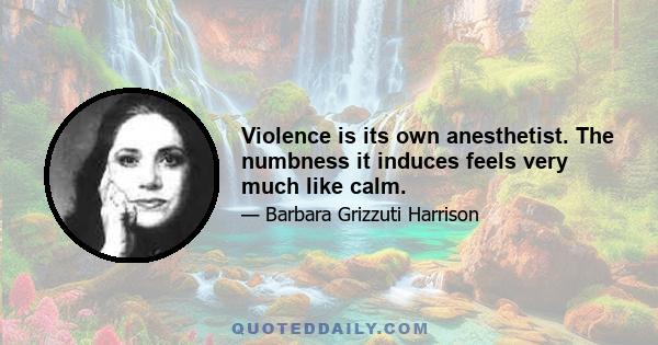 Violence is its own anesthetist. The numbness it induces feels very much like calm.