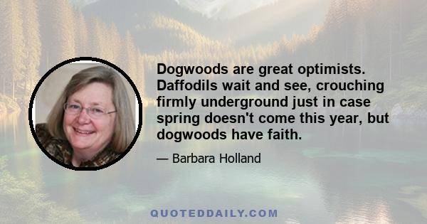Dogwoods are great optimists. Daffodils wait and see, crouching firmly underground just in case spring doesn't come this year, but dogwoods have faith.