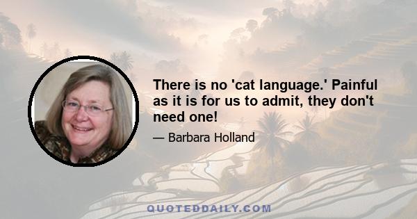 There is no 'cat language.' Painful as it is for us to admit, they don't need one!