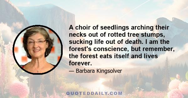 A choir of seedlings arching their necks out of rotted tree stumps, sucking life out of death. I am the forest's conscience, but remember, the forest eats itself and lives forever.