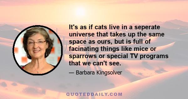 It's as if cats live in a seperate universe that takes up the same space as ours, but is full of facinating things like mice or sparrows or special TV programs that we can't see.