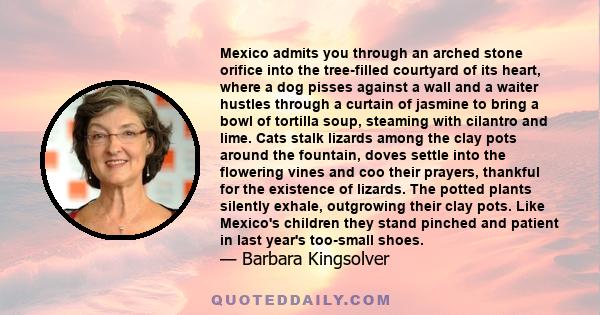 Mexico admits you through an arched stone orifice into the tree-filled courtyard of its heart, where a dog pisses against a wall and a waiter hustles through a curtain of jasmine to bring a bowl of tortilla soup,