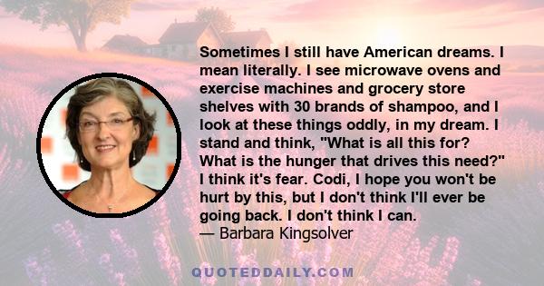 Sometimes I still have American dreams. I mean literally. I see microwave ovens and exercise machines and grocery store shelves with 30 brands of shampoo, and I look at these things oddly, in my dream. I stand and