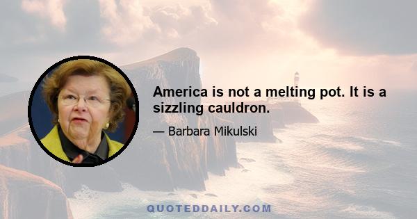 America is not a melting pot. It is a sizzling cauldron.