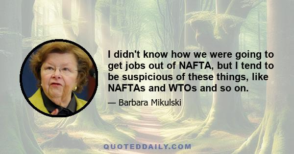 I didn't know how we were going to get jobs out of NAFTA, but I tend to be suspicious of these things, like NAFTAs and WTOs and so on.