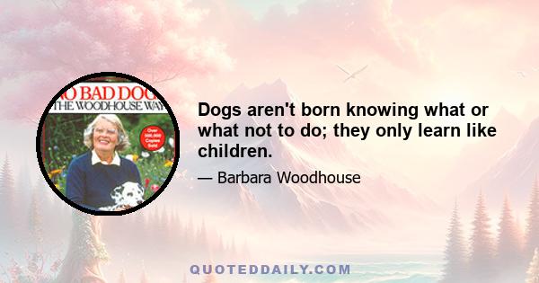 Dogs aren't born knowing what or what not to do; they only learn like children.