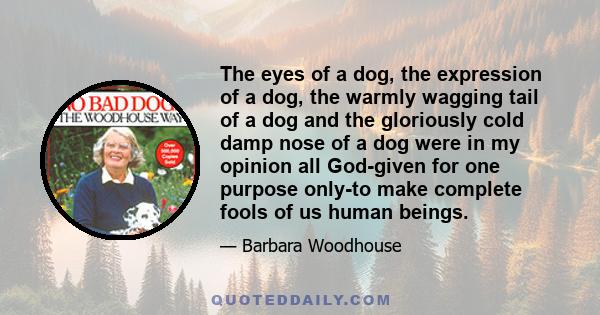 The eyes of a dog, the expression of a dog, the warmly wagging tail of a dog and the gloriously cold damp nose of a dog were in my opinion all God-given for one purpose only-to make complete fools of us human beings.