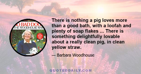 There is nothing a pig loves more than a good bath, with a loofah and plenty of soap flakes ... There is something delightfully lovable about a really clean pig, in clean yellow straw.