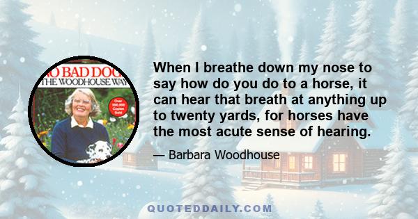 When I breathe down my nose to say how do you do to a horse, it can hear that breath at anything up to twenty yards, for horses have the most acute sense of hearing.