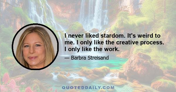 I never liked stardom. It's weird to me. I only like the creative process. I only like the work.