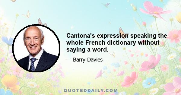 Cantona's expression speaking the whole French dictionary without saying a word.