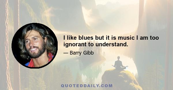 I like blues but it is music I am too ignorant to understand.