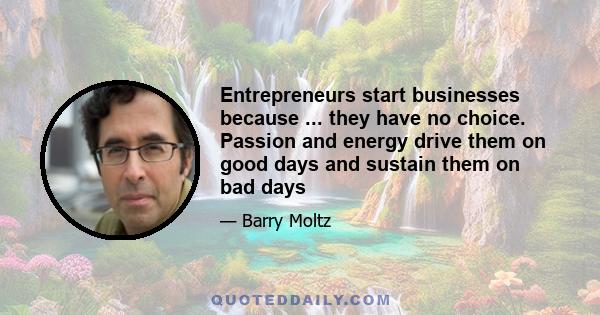 Entrepreneurs start businesses because ... they have no choice. Passion and energy drive them on good days and sustain them on bad days