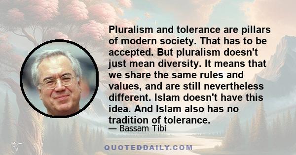 Pluralism and tolerance are pillars of modern society. That has to be accepted. But pluralism doesn't just mean diversity. It means that we share the same rules and values, and are still nevertheless different. Islam