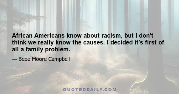 African Americans know about racism, but I don't think we really know the causes. I decided it's first of all a family problem.