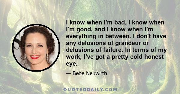 I know when I'm bad, I know when I'm good, and I know when I'm everything in between. I don't have any delusions of grandeur or delusions of failure. In terms of my work, I've got a pretty cold honest eye.