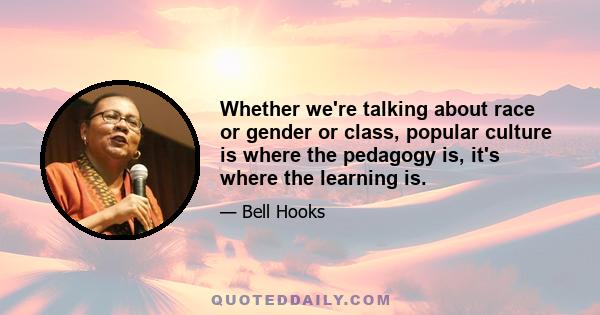 Whether we're talking about race or gender or class, popular culture is where the pedagogy is, it's where the learning is.