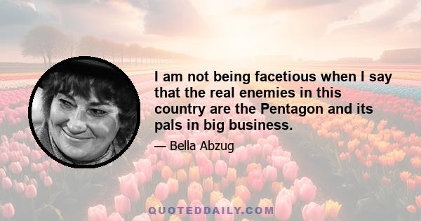 I am not being facetious when I say that the real enemies in this country are the Pentagon and its pals in big business.