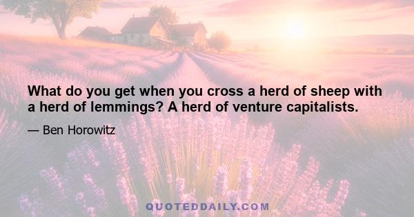 What do you get when you cross a herd of sheep with a herd of lemmings? A herd of venture capitalists.