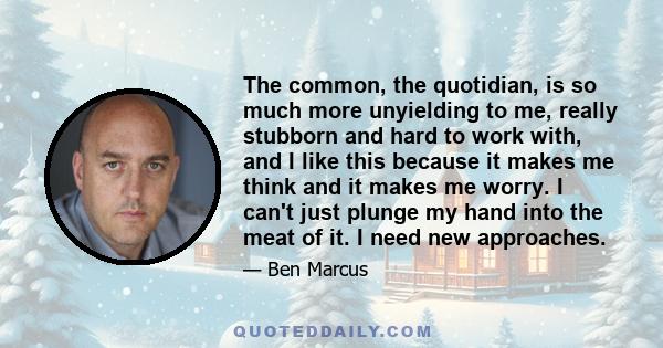 The common, the quotidian, is so much more unyielding to me, really stubborn and hard to work with, and I like this because it makes me think and it makes me worry. I can't just plunge my hand into the meat of it. I