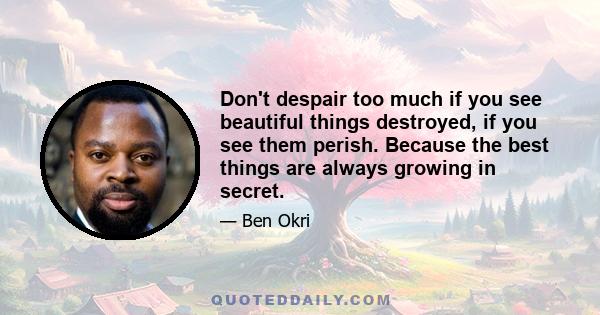 Don't despair too much if you see beautiful things destroyed, if you see them perish. Because the best things are always growing in secret.