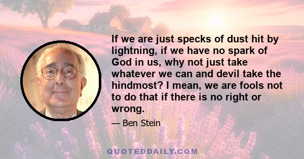 If we are just specks of dust hit by lightning, if we have no spark of God in us, why not just take whatever we can and devil take the hindmost? I mean, we are fools not to do that if there is no right or wrong.